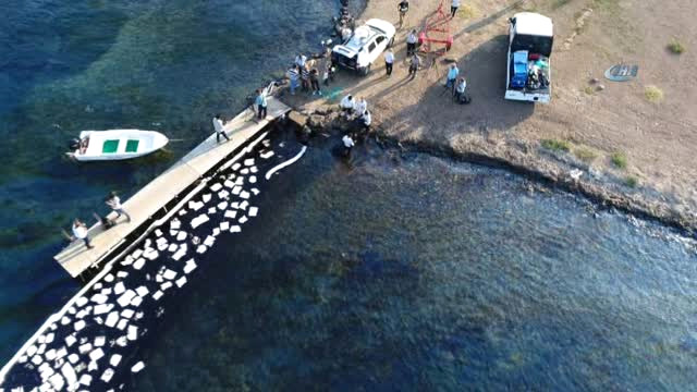 Foça da denize sızan madde belli oldu