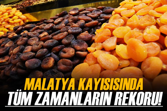 Malatya kayısısında tüm zamanların rekor ihracatı