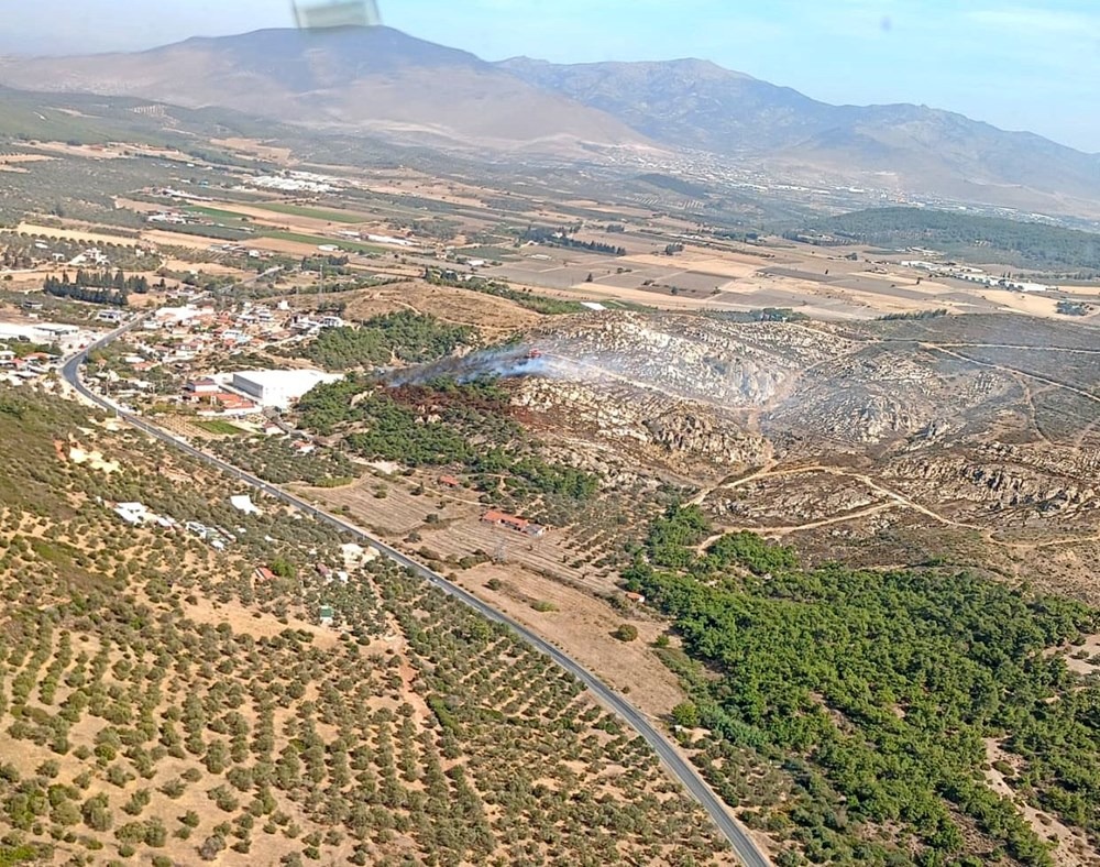 İzmir de orman yangını