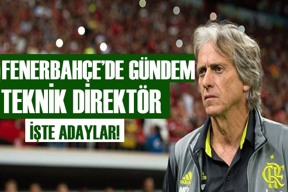 Fenerbahçe nin teknik direktörü kim olacak?