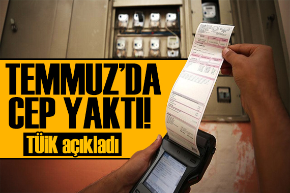 Temmuz ayında elektrik dudak uçuklattı