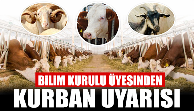 Uzmanlardan Kurban Bayramı uyarısı: Kurallara uy asıl kurban sen olma!