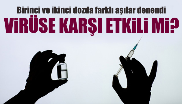 Dikkat çeken araştırma: Farklı aşılar virüse karşı etkili mi?