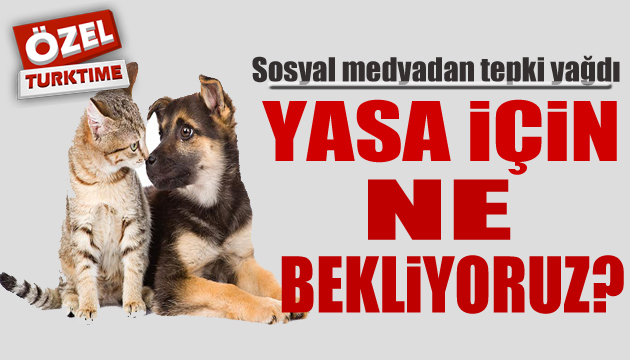 Sosyal medyadan tepki yağdı! Yasa için ne bekliyoruz?