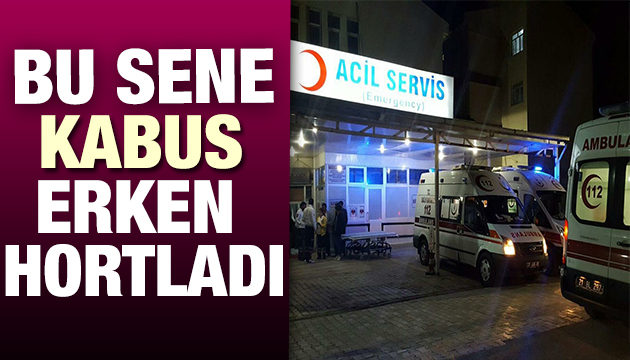 Kene kabusu bu sene erken başladı