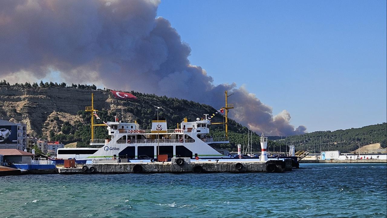 Çanakkale de orman yangını