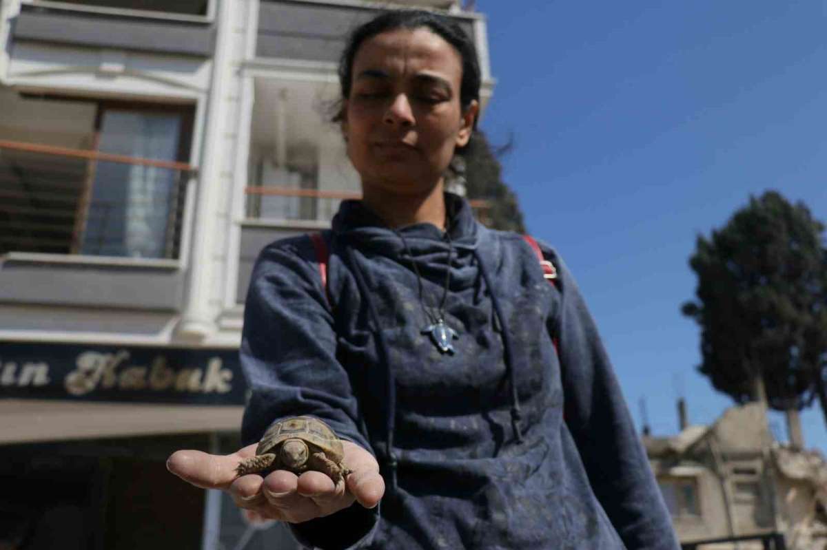 38 gün sonra canlı olarak bulundu