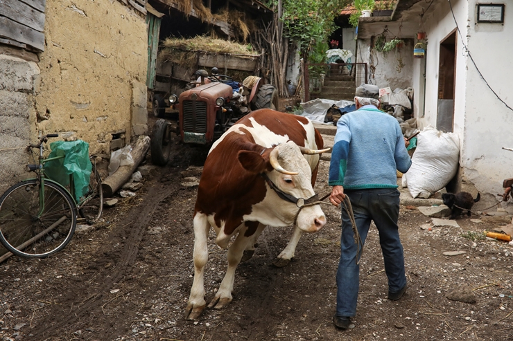 Bakanlık uyardı: Sokakta kurban kesene ceza var