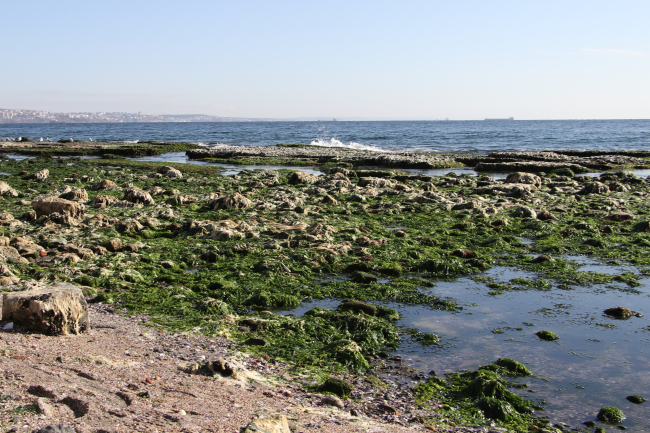 Tekirdağ da kıyılarda deniz suyu çekilmesinin sebebi açıklandı