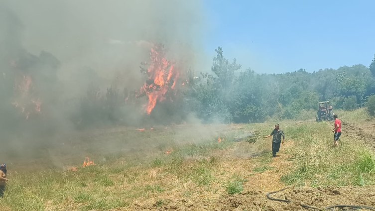 Adana da orman yangını: Ekipler bölgede