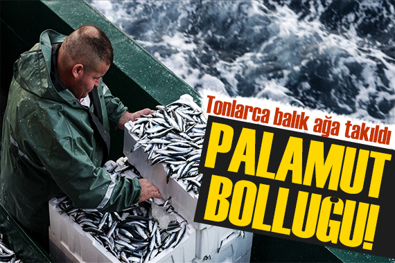 Balık sezonu açıldı: 50 ton palamut tuttular