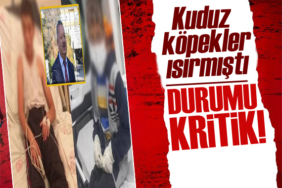 Kuduz köpek tarafından ısırıldı! İşte son durumu