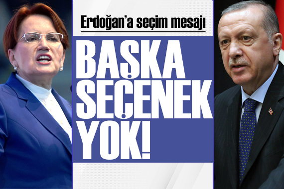 Akşener Erdoğan a seslendi: Senin seçilebileceğin bir tarih yok!