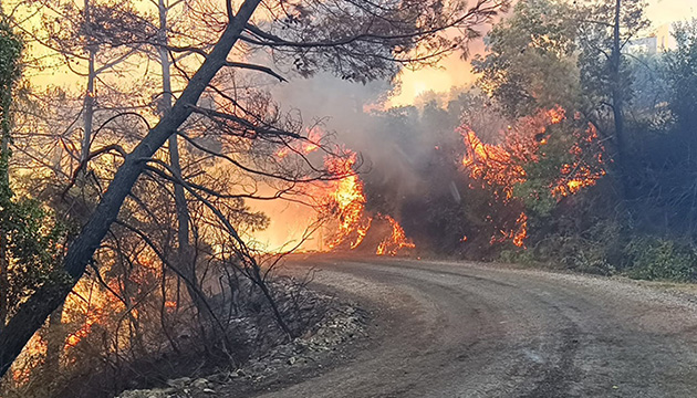 Adana’da orman yangını