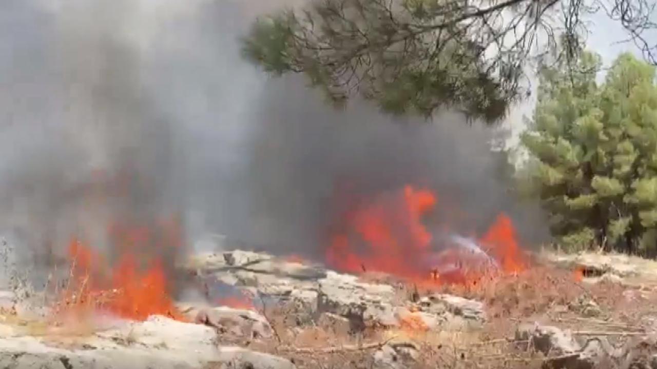 Adıyaman’da orman yangını