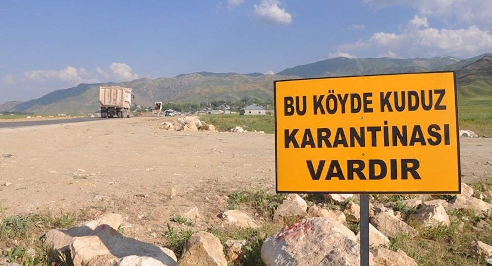 Afyonkarahisar da kuduz karantinası