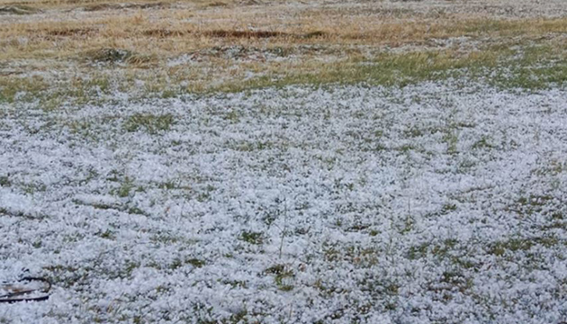 Ağrı da dolu tarıma zarar verdi