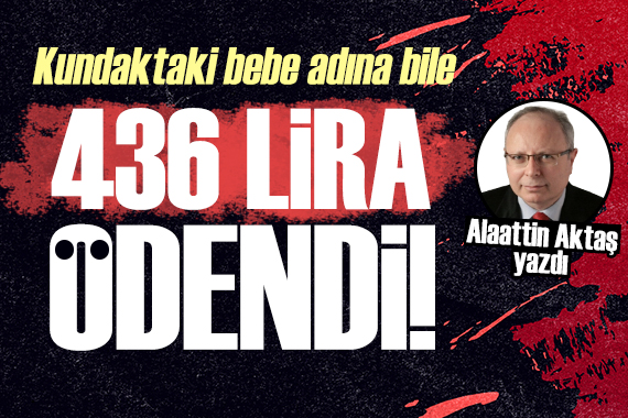 Alaattin Aktaş yazdı: Kundaktaki bebe adına bile 436 lira ödendi