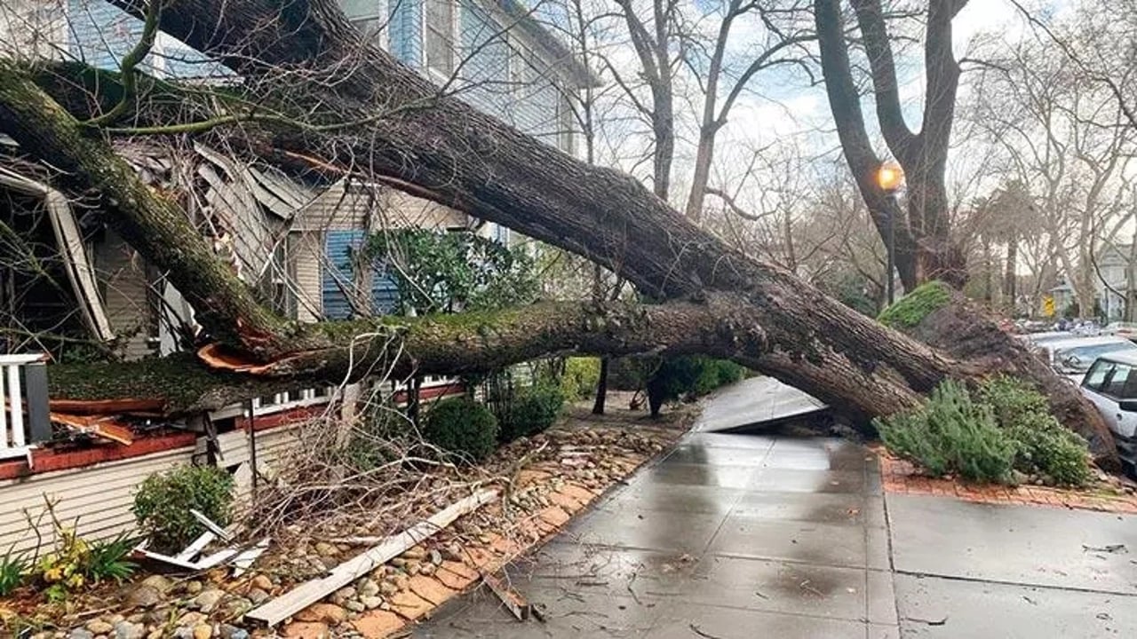 Almanya’da şiddetli fırtına: 1 ölü