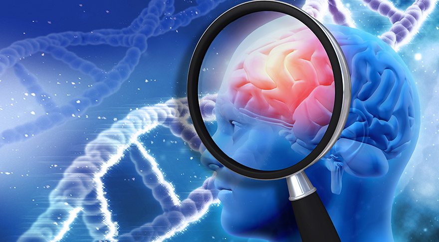 Uzmanlar Alzheimer hastalarında beyin hücrelerinin neden öldüğünü keşfetti