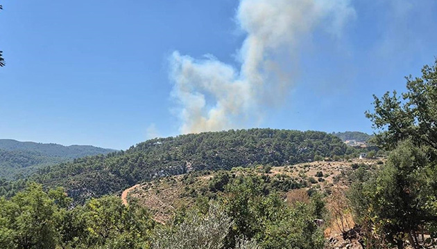 Antalya da orman yangını