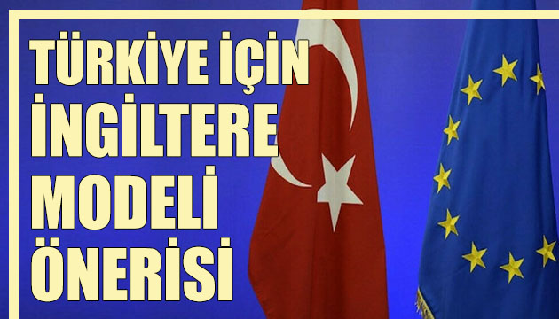 Almanya da Türkiye nin Avrupa Birliği üyeliği için İngiltere modeli önerisi