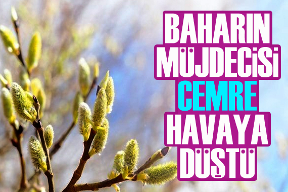 Baharın müjdecisi  cemre  havaya düştü