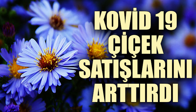 Kovid 19 çiçek siparişlerini artırdı!