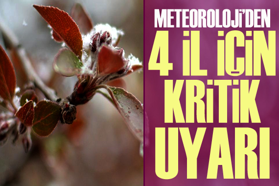 Meteoroloji den 4 il için kritik uyarı!