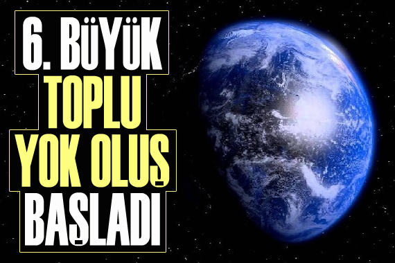 Dünya, 6. toplu yok oluş ile karşı karşıya