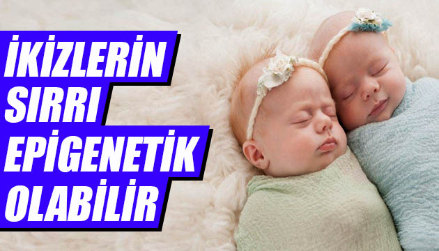 İkizlerin sırrı epigenetik olabilir!