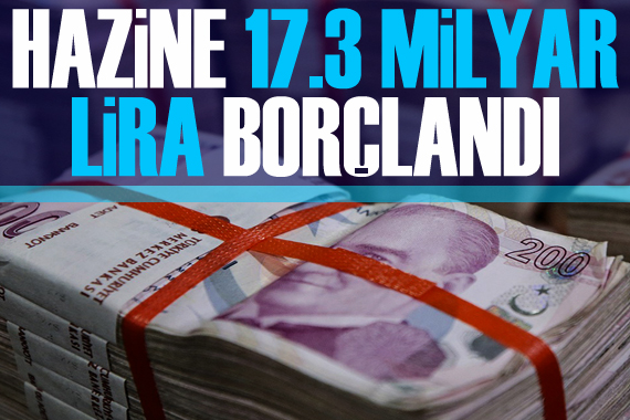 Hazine 17,3 milyar lira borçlandı