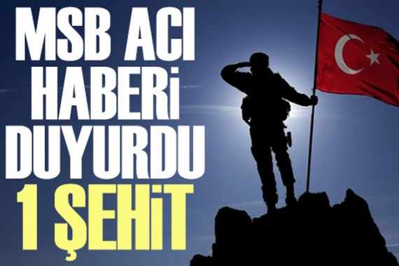 MSB acı haberi duyurdu: 1 Şehit