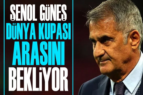 Şenol Güneş, takımın performansından memnun değil