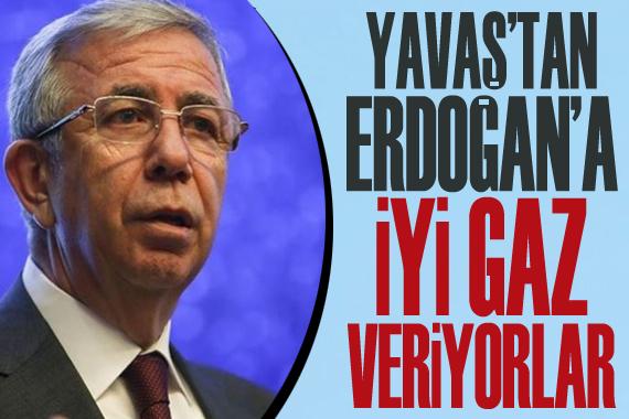 Yavaş tan Erdoğan a: İyi gaz veriyorlar