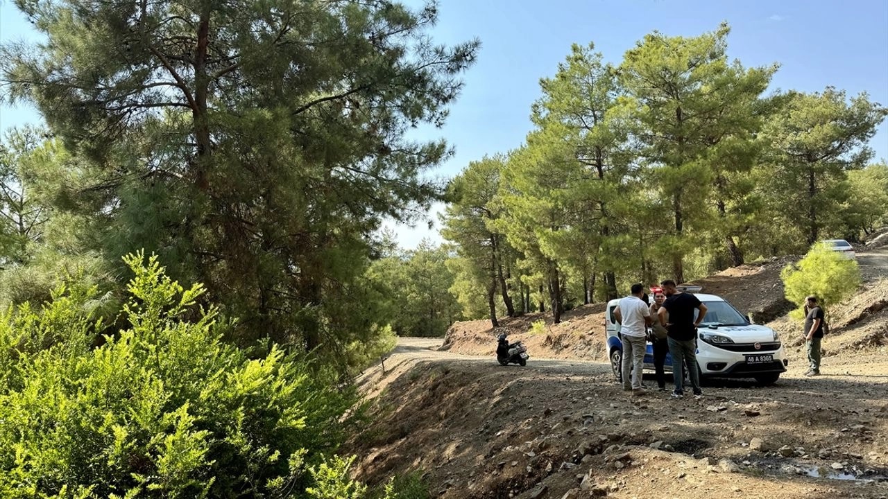 Ormana terk edilmiş bebek bulundu