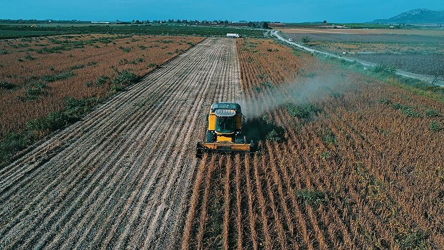 Çiftçilere ödenecek destek tutarı belli oldu