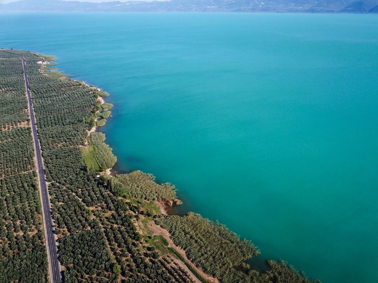 İznik Gölü renk değiştirdi