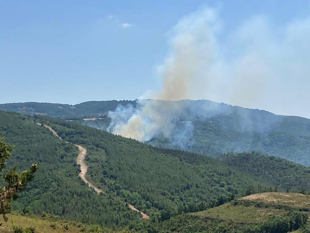 Çanakkale  de orman yangını