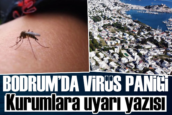 Bodrum da virüs paniği: Sağlık müdürlüğü uyardı