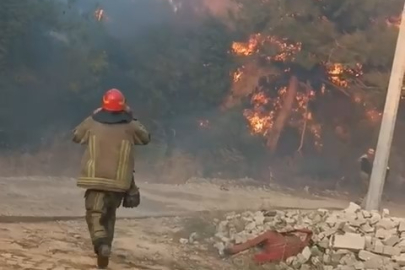 Bursa da orman yangını: Ekipler bölgede