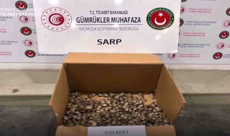 Sarp Gümrük Kapısında yakalandı