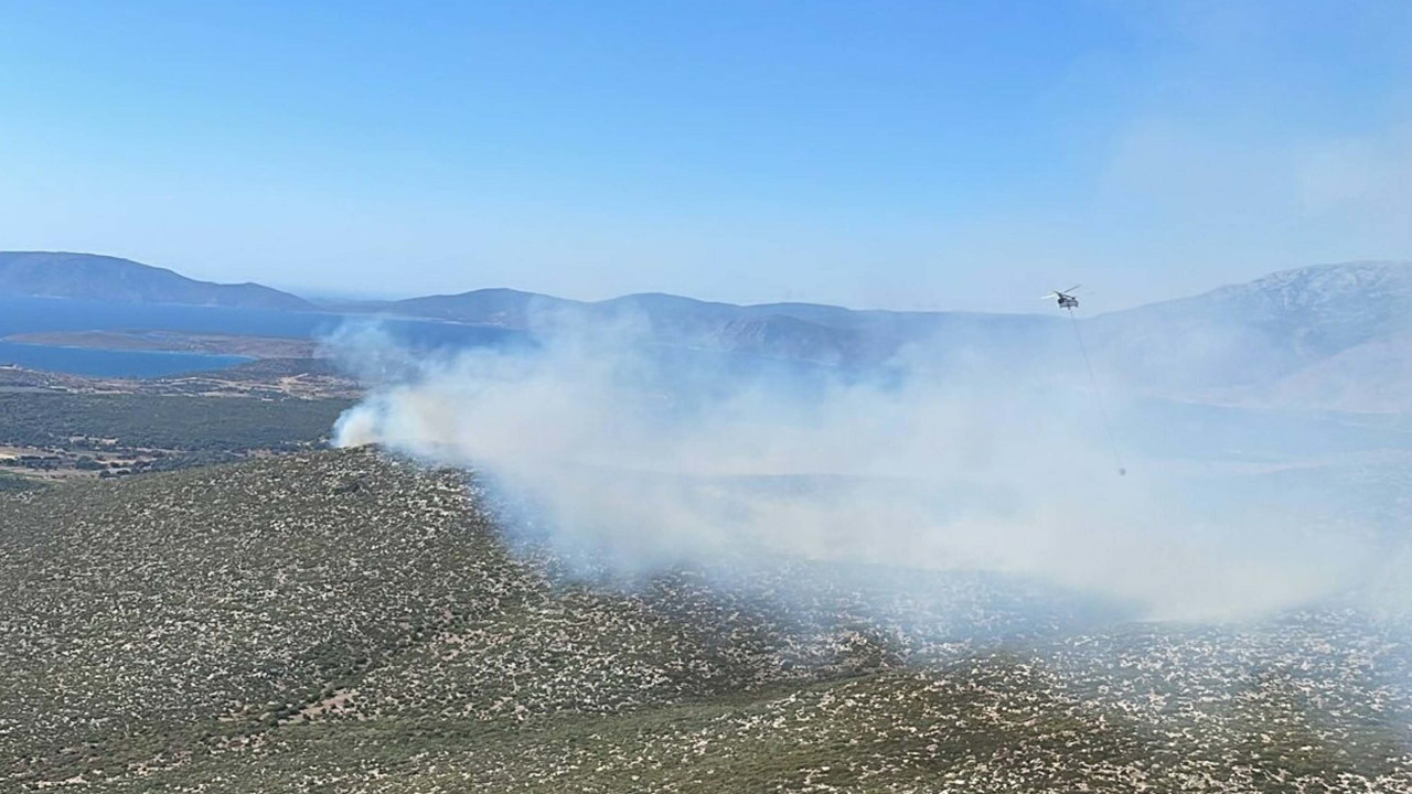 Çeşme de orman yangını