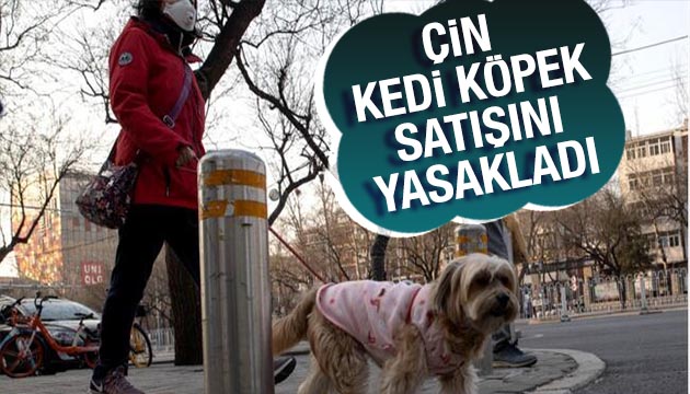 Çin kedi ve köpek satışını yasakladı!