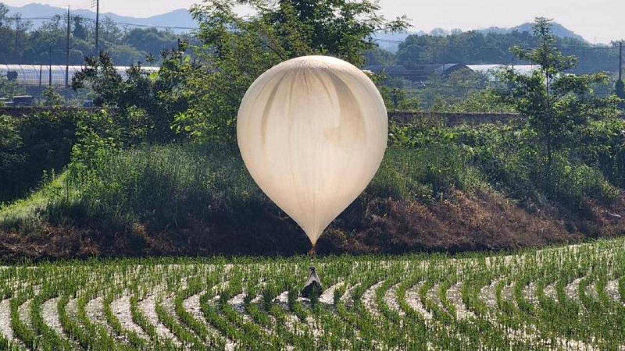 Kuzey Kore, Güney Kore ye yaklaşık 240 çöp balonu gönderdi