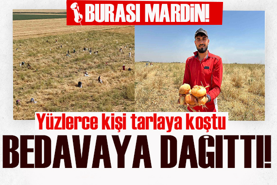 Çiftçi bedavadan dağıtıyor: Duyanlar çuvallarıyla tarlaya koştu!