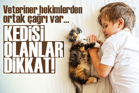 Kedi sahipleri dikkat! Veterinerlerden ortak çağrı var...