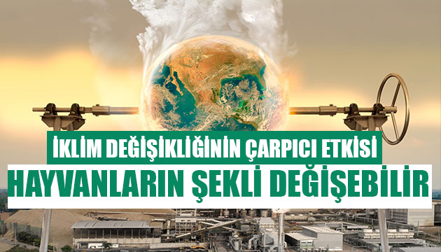 Korkutan araştırma! İklim değişikliğinin çarpıcı etkisi