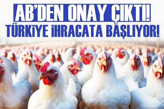 AB den onay çıktı! Türkiye ihracata başlıyor