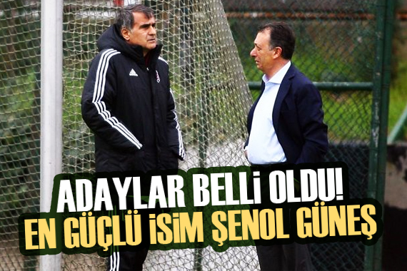 Beşiktaş ın teknik direktör adayları belli oldu!